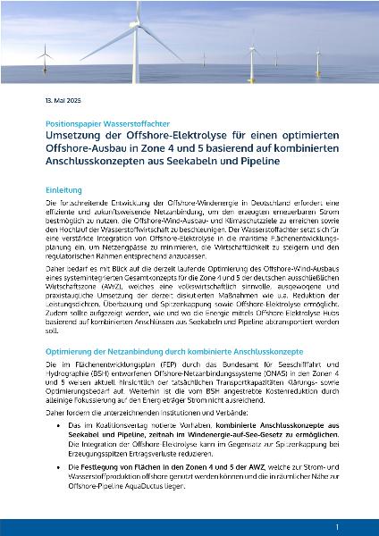 Positionspapier Umsetzung Offshore-ELY in Zone 4 und 5